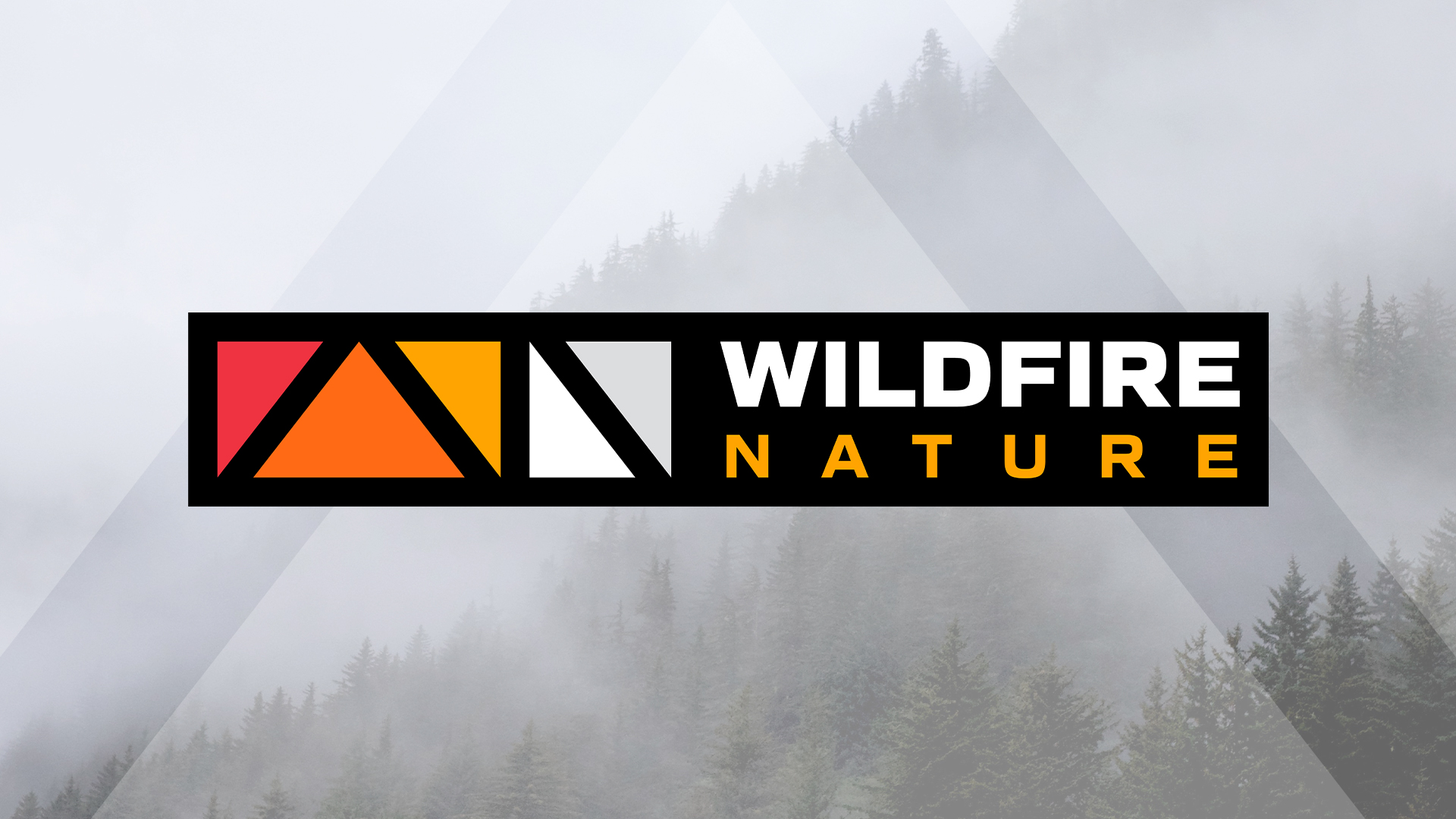 featured image four:Wildfire Nature Logo Design & Branding