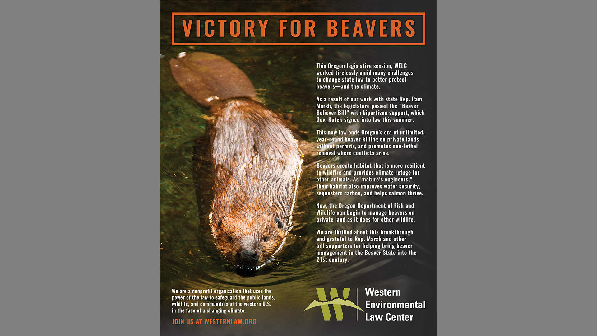 featured image:Beaver Victory Ad