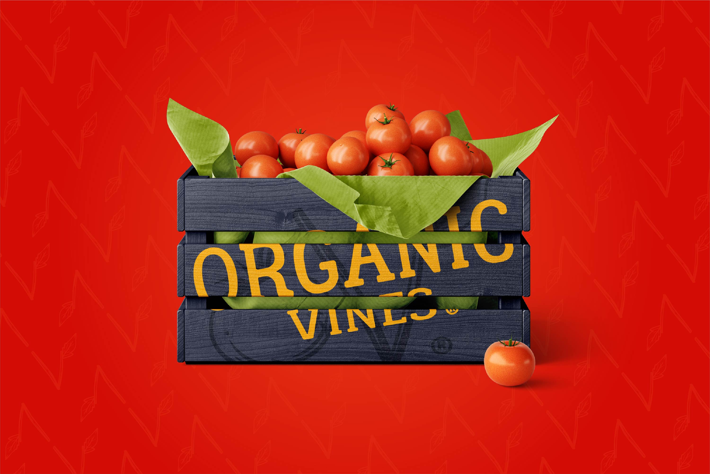featured image:Organic Vines Branding