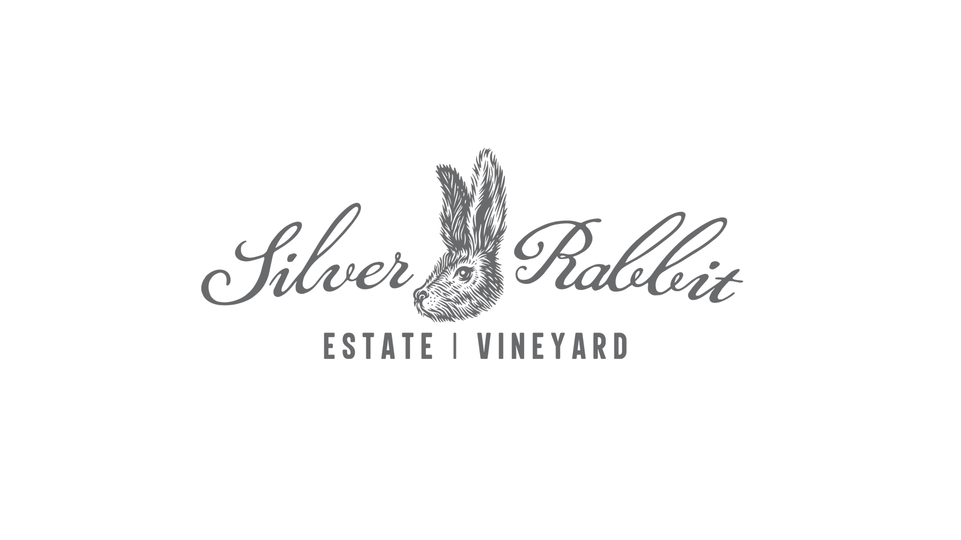 featured image two:Silver Rabbit Identity