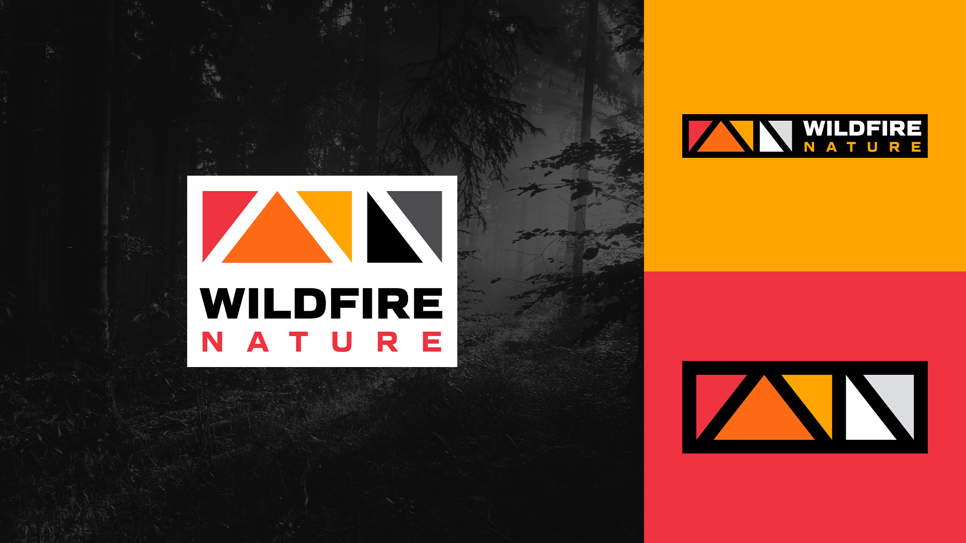 featured image:Wildfire Nature Logo Design & Branding