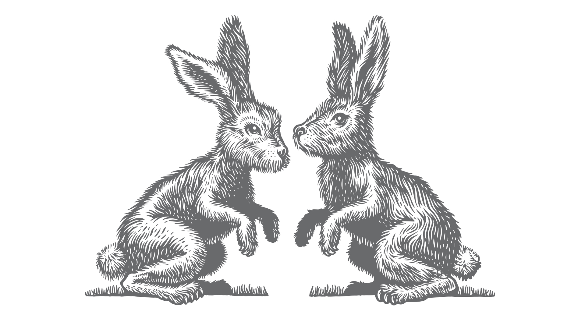 featured image four:Silver Rabbit Identity