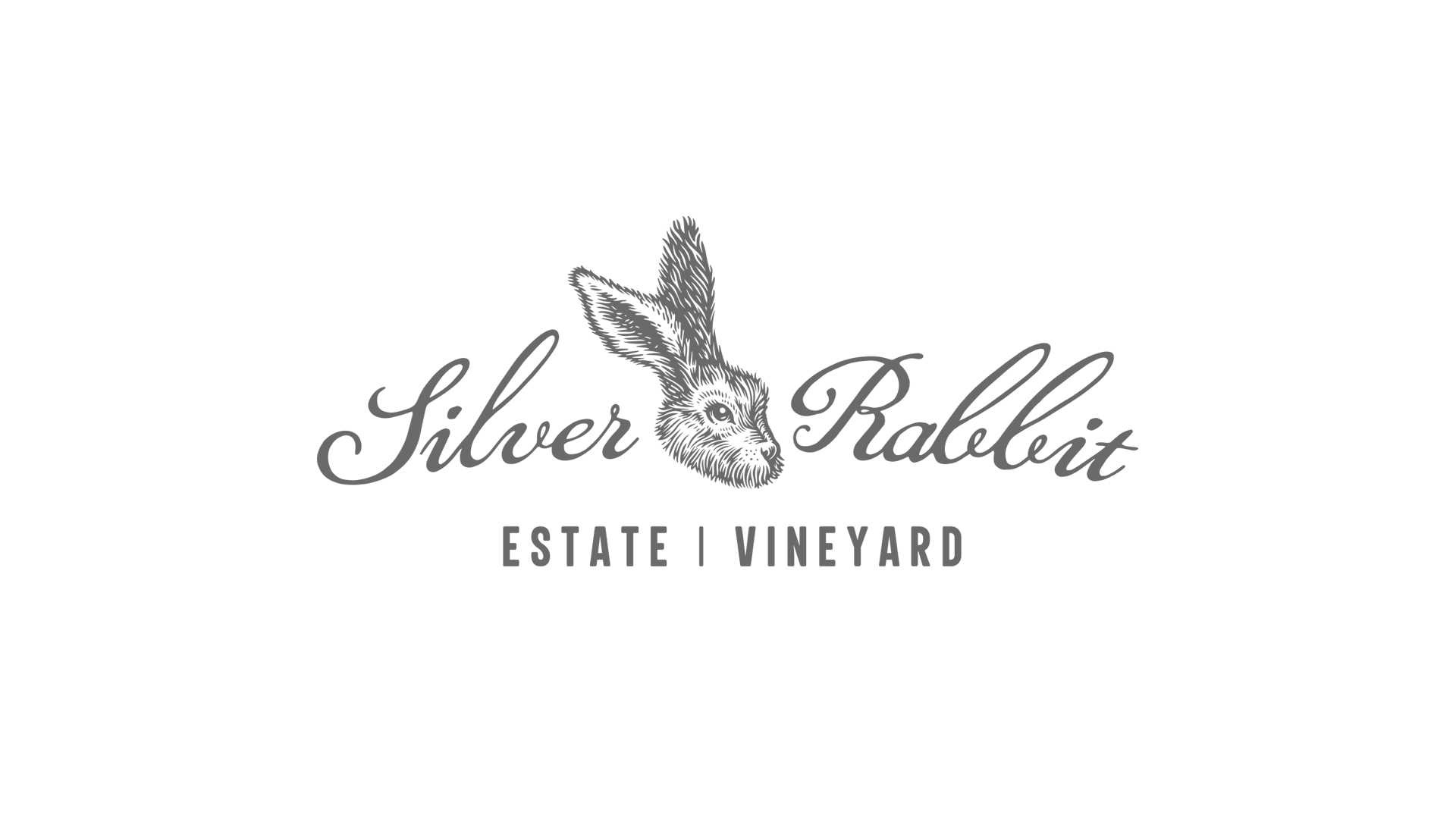 featured image three:Silver Rabbit Identity