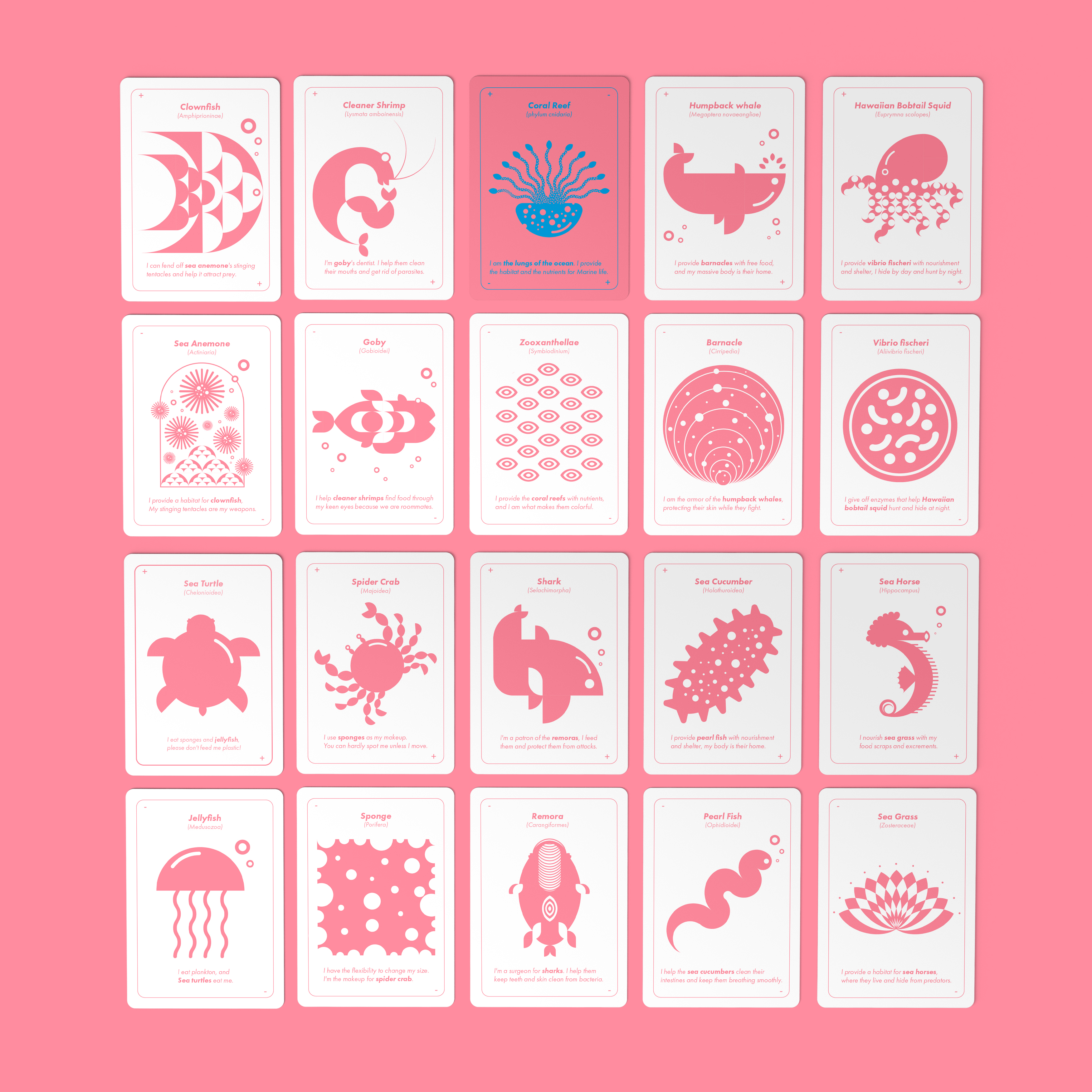 featured image two:The Spirit of Ocean Mutualism in Hawaii—Memory Game Card Design
