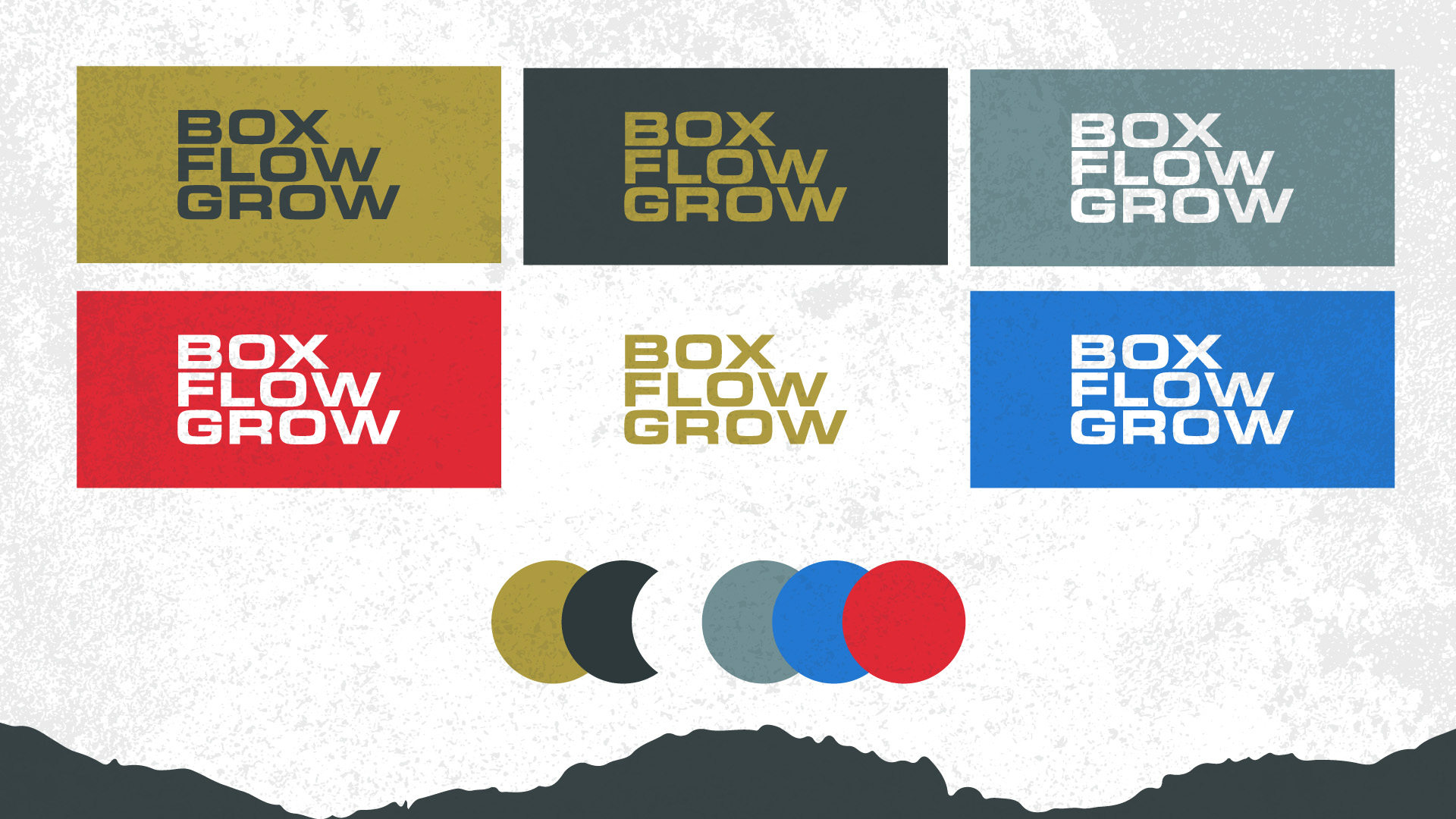 featured image four:Box Flow Grow Brand System