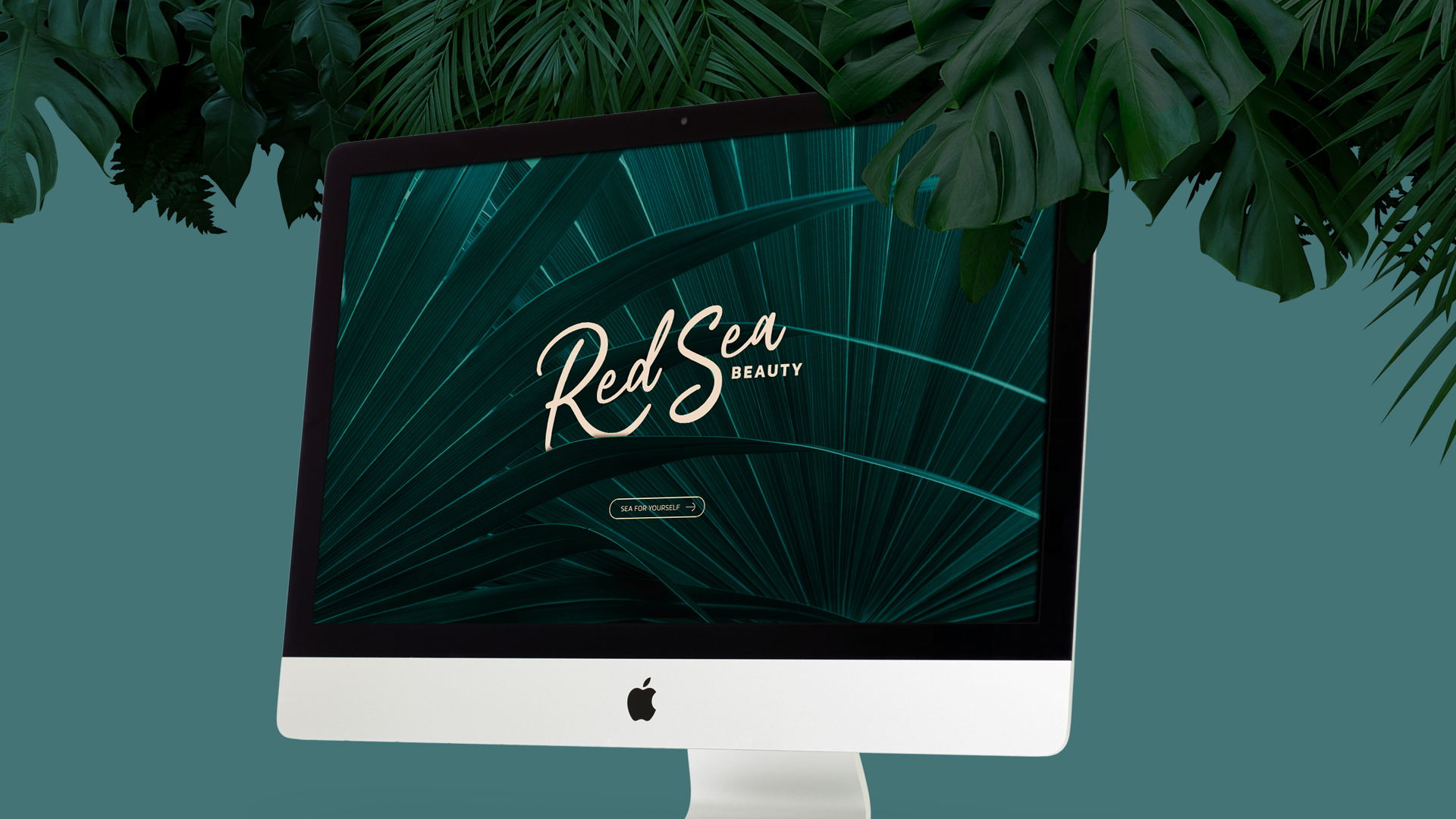 featured image:Red Sea Beauty | Brand Identity